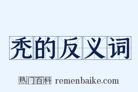 秃的反义词是什么意思的图片